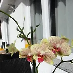 House Riviera Apartment Moscenicka Draga