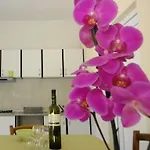 House Riviera *