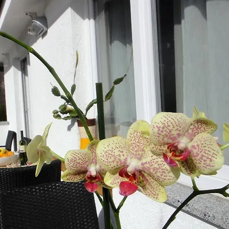 House Riviera Apartman Mošćenička Draga