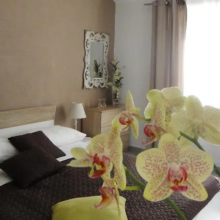 Apartman House Riviera *