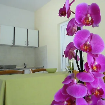 House Riviera *