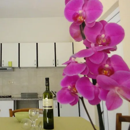 House Riviera *