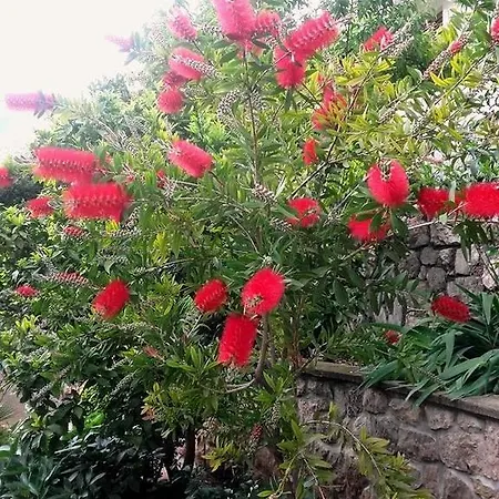 House Riviera * Mošćenička Draga