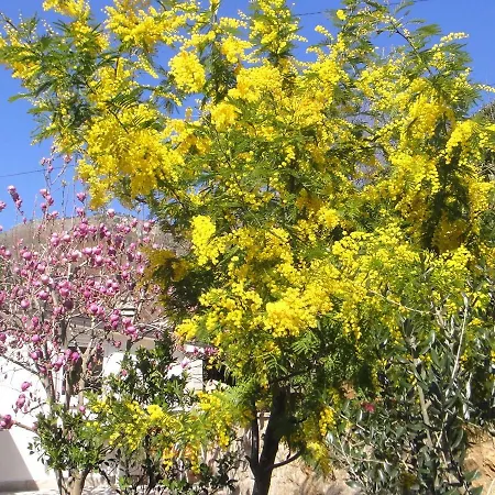 Appartamento House Riviera *