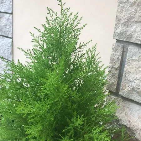 Appartamento House Riviera Mošćenička Draga