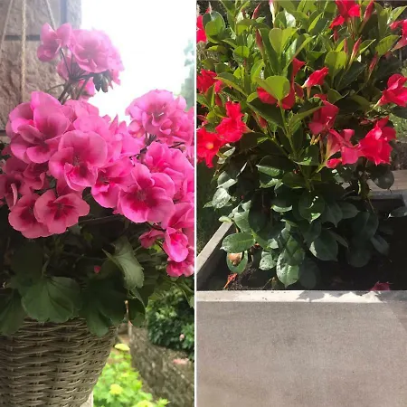 Appartamento House Riviera Mošćenička Draga