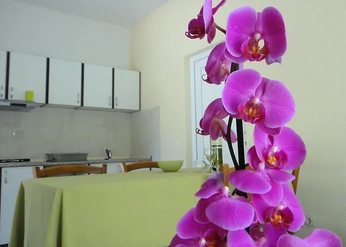 House Riviera *
