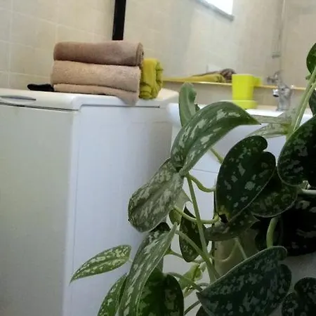 Apartament House Riviera