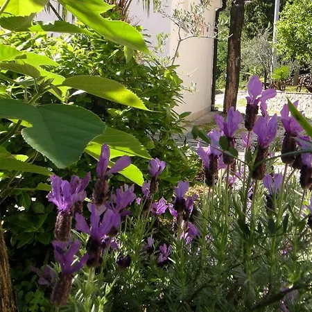 House Riviera Apartament