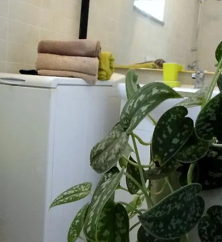 Apartament House Riviera