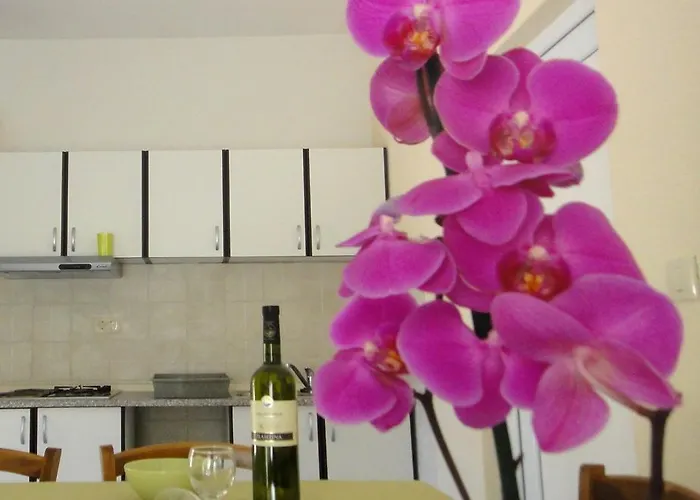House Riviera *
