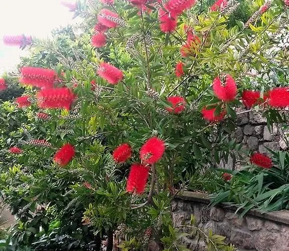 House Riviera * Mošćenička Draga