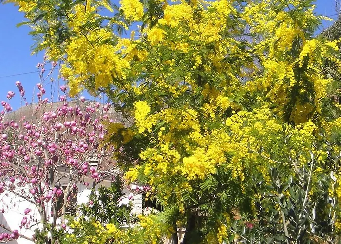 Apartman House Riviera *