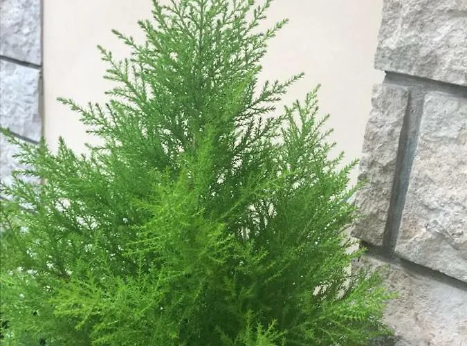 Apartament House Riviera Mošćenička Draga