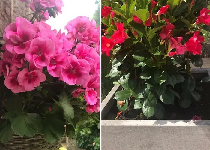 Apartament House Riviera Mošćenička Draga